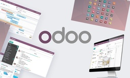 Introduction to Odoo ERP Customization